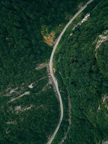 Nature, Trees, View From Above, Road, Forest HD phone wallpaper