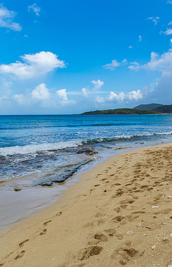 Nature, Sea, Beach, Sand, Shore, Bank, Coast HD phone wallpaper