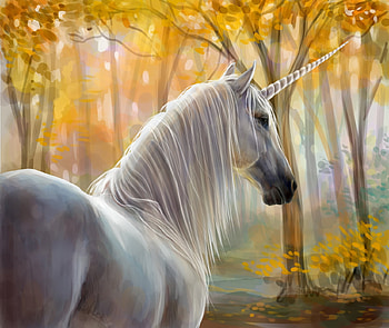 Uncorn, white, horse, art, tree, fantasy, yellow, unicorn, autumn, luminos, forest HD wallpaper