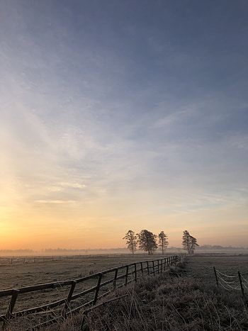 Nature, Trees, Grass, Dawn, Horizon, Fog, Rise, Sunrise, Field, Fence HD phone wallpaper