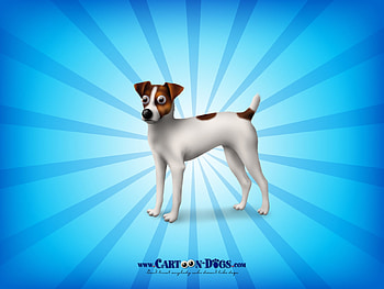 Jack Russell Terrier, blue, animal, dog, cartoon, white, poster, caine HD wallpaper