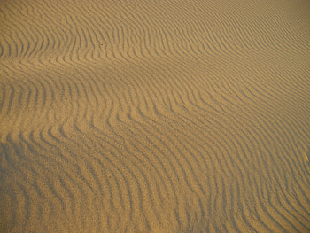 Nature, Waves, Sand, Desert, Surface HD wallpaper