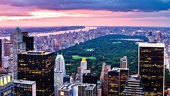 Central Park, New York HD wallpaper