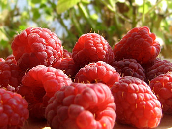 Food, Raspberry, Berries HD wallpaper