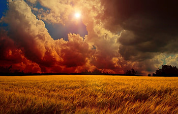 Great Moment At Yellow Wheat Field, sunshine, white, field, yellow, red, clouds, sky, beautiful HD wallpaper