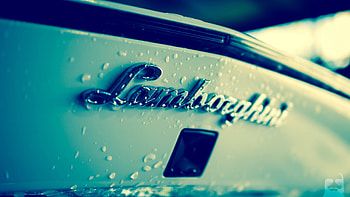 Lamborghini Logo, lamborghini, logo, cars HD wallpaper