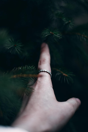 Hand, Miscellanea, Miscellaneous, Branches, Fir, Spruce, Touching, Touch, Finger HD phone wallpaper