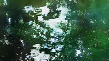 Makoto Shinkai ripples anime The Garden of Words background HD wallpaper