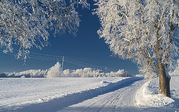 Winter Road in Latvia, snow, winter, field, Latvia, trees, road, hoarfrost HD wallpaper