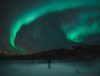 A mesmerizing display of the aurora borealis illuminating a snowy landscape with a person admiring the starry night sky. HD wallpaper
