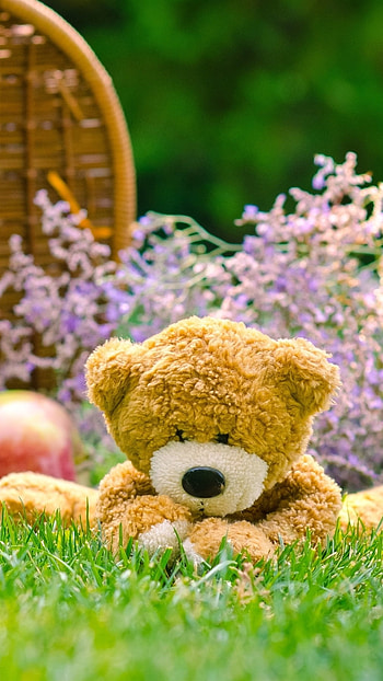 Teddy Bear Ka, Garden, Background HD phone wallpaper
