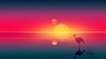 Heron and reflection, sun, sunset, ceris, blue, two, graphy, teal, pink, reflection, moon, , minimalism, water HD wallpaper