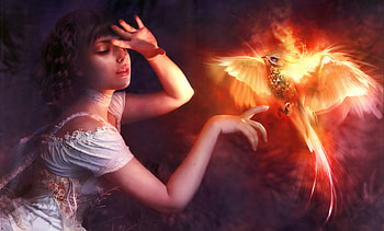 Phoenix Girl , phoenix, artist, artwork, digital-art HD wallpaper
