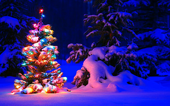 Christmas , Stunning resolutions, s, Festive ry HD wallpaper