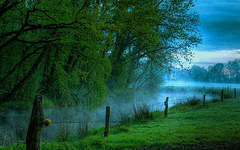 Nature, Trees, Morning, Freshness, Haze, Fencing, Enclosure, Wire, Humidity, Stakes, Pegging HD wallpaper