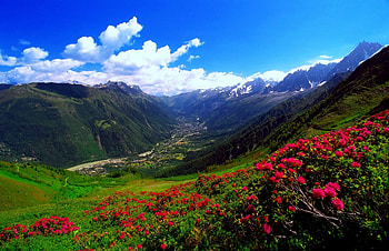 Spring valley, sky, flowers, mountains, valley HD wallpaper