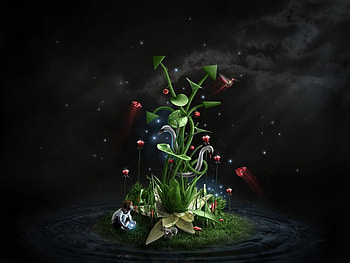 Cool, , cool-fantasy, wide, tree HD wallpaper