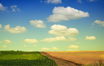 Landscape, Fields HD wallpaper