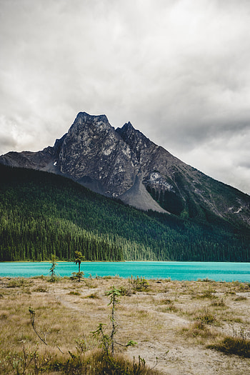 Landscape, Nature, Rivers, Trees, Mountain, Forest HD phone wallpaper