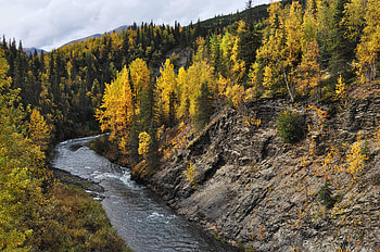 Nature, Water, Rivers, Trees, Autumn, Forest HD wallpaper