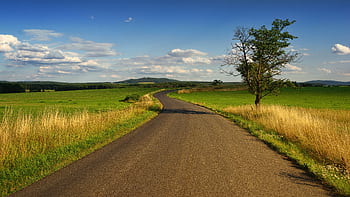 Scenic view of a winding road through peaceful countryside fields with blue skies. HD wallpaper