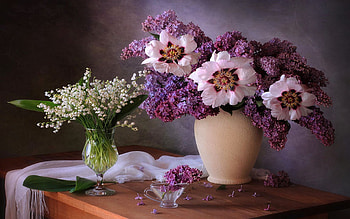 Spring Still Life With A Bouquet Of Peonies, still life, flowers, lilies of the valley, blossoms, lilacs HD wallpaper