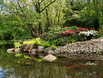 Landscape, Nature, Trees, Stones, Park, Pond HD wallpaper