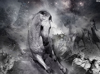 Wild Horses, graphic, digital HD wallpaper