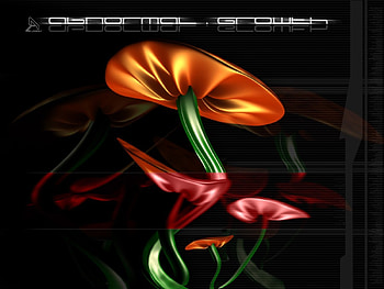 Abnormal Groth, stem, labled, red, growth, orange HD wallpaper