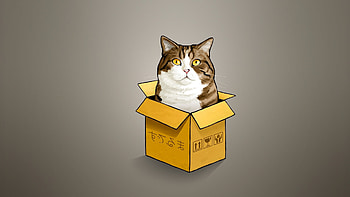 Artwork, Maru (Cat) HD wallpaper