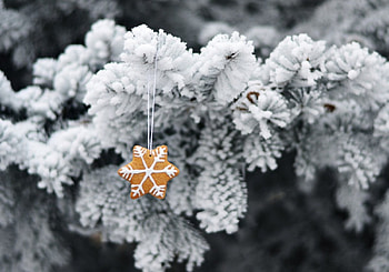 Winter, merry christmas, christmas, gingerbread, winter time, magic christmas, xmas, tree HD wallpaper