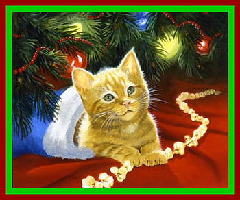 Yellow Kitten in Stocking, Christmas, cute, stocking, Kitten, tree HD wallpaper