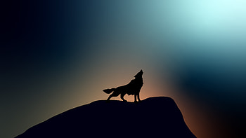 Wolf Howling , artist, artwork, wolf HD wallpaper