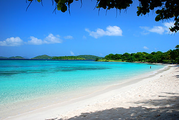 Nature, Beach, Sand, Palms, Summer, Tropics, Maldives HD wallpaper