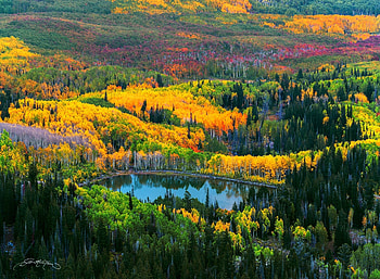 Gorgeous Autumn Forest Lake Panorama, Lakes, Trees, Fall Season, Nature, Forests, Autumn HD wallpaper