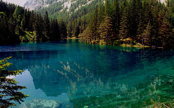 green lake austria, nature, green, austria, lake HD wallpaper