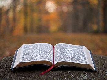 Open Bible in Autumn — Spiritual, religious, bible HD wallpaper