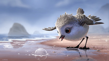 Piper Pixar Animated Movie, pixar, piper, movies, animated-movies, 2016-movies HD wallpaper