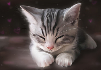 Animals, Cat, Muzzle, Mustache, Moustache, Paws, Wool, Fur HD wallpaper