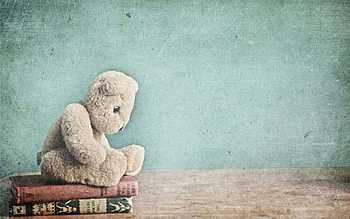 Books, Miscellanea, Miscellaneous, Bear, Toy, Plush HD wallpaper