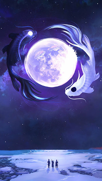Koi fish, Moonlight , Ultra HD phone wallpaper