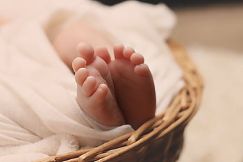 Adorable tiny newborn baby feet wrapped in a soft blanket inside a wicker basket. HD wallpaper