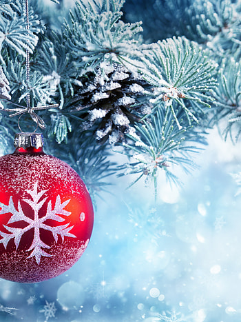 Christmas Ornament, Snowy wonderland, Christmas pine trees, Winter paradise HD phone wallpaper