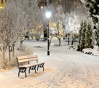 Winter Wonderland, snow, park, winter, bench, lights, wonderland HD wallpaper