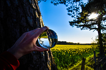 Reflection, Hand, Miscellanea, Miscellaneous, Ball HD wallpaper