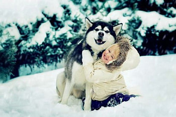 SNOW BUDDIES, CUTE, GIRL, DOG, SNOW HD wallpaper