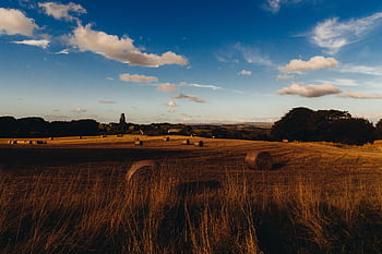 que rural scene featuring hay bales on a golden field under a vibrant blue sky. HD wallpaper