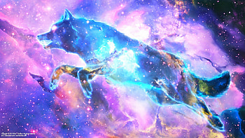 Cute galaxy wolf , Cosmic vibes, Adorable visuals, Playful spirit HD wallpaper