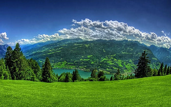 ~Nature~, sky, nature, field, tree HD wallpaper