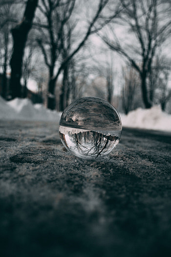 Trees, Snow, Reflection, Macro, Blur, Smooth, Glass, Ball HD phone wallpaper